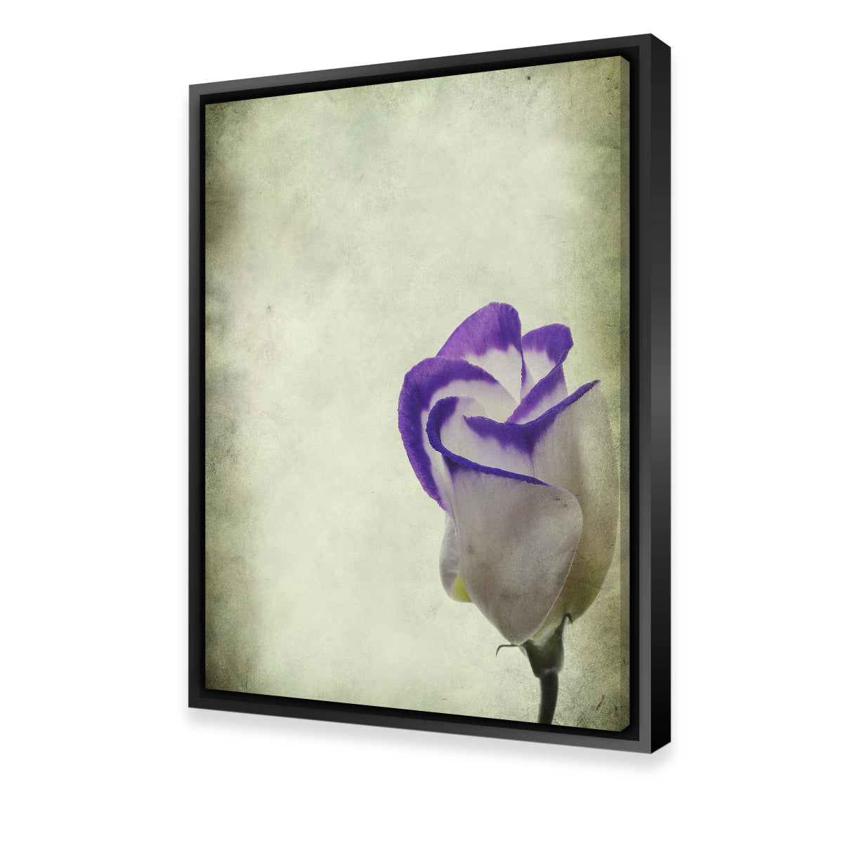 Vintage Lisianthus Wall Art