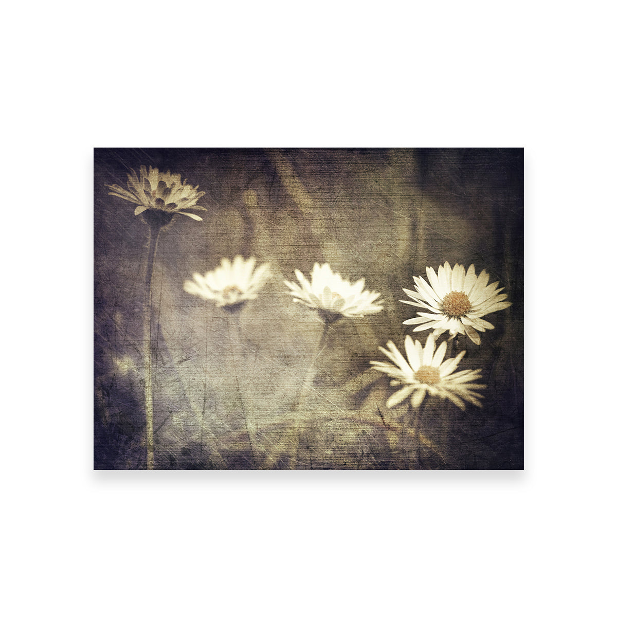 Vintage Meadow Flowers Wall Art