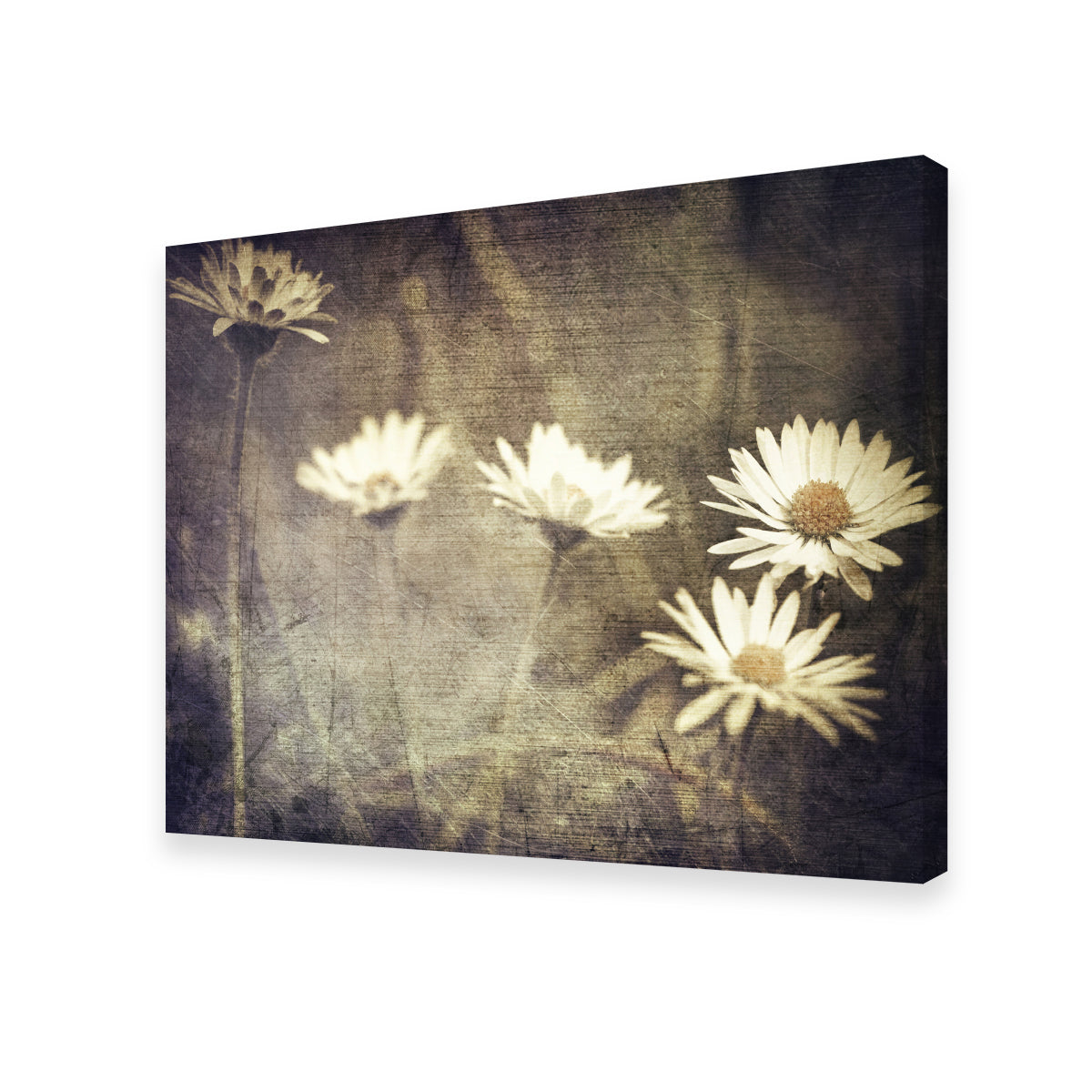 Vintage Meadow Flowers Wall Art