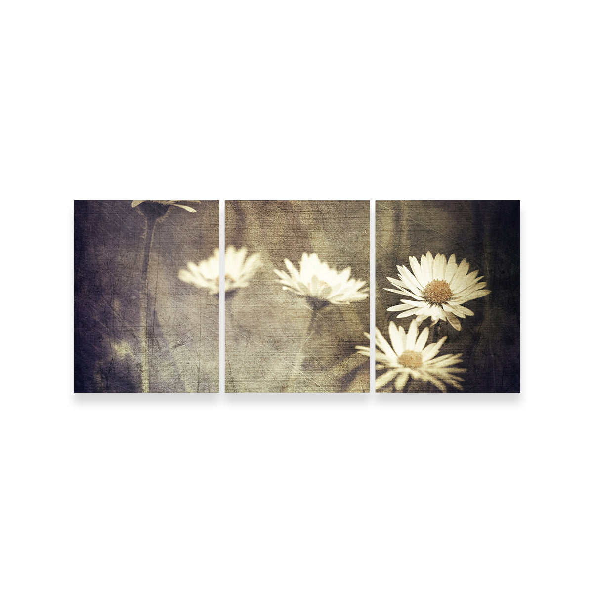 Vintage Meadow Flowers Wall Art