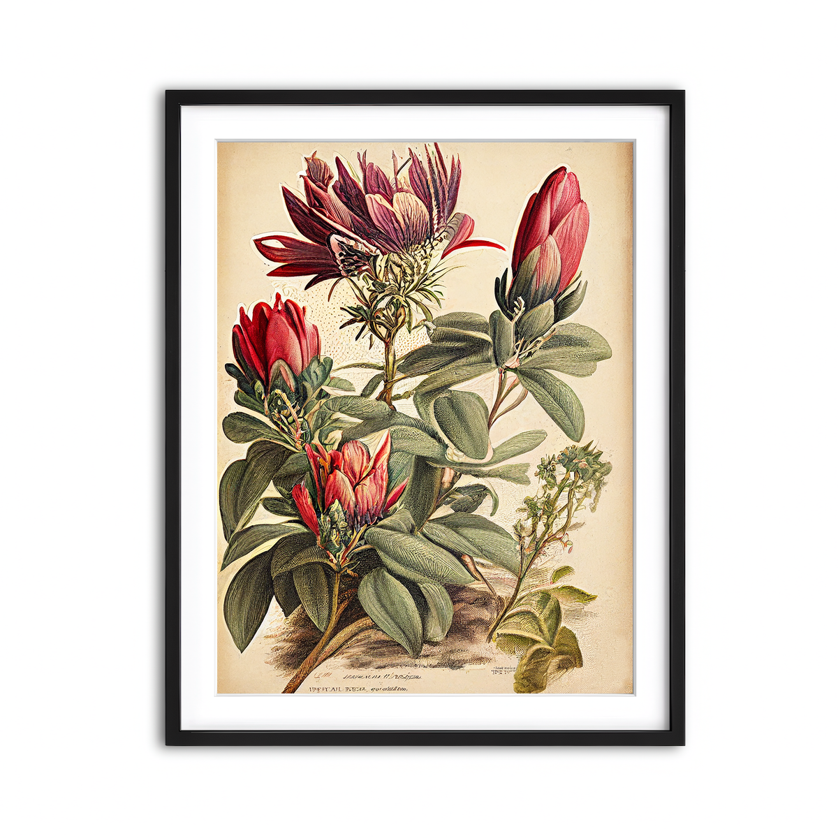 Framed Print 3x4 Black