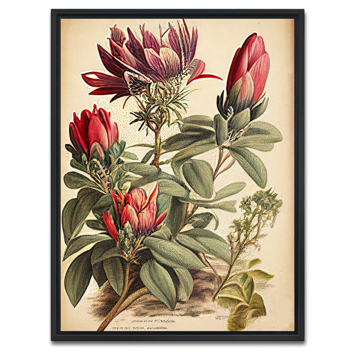 AUTO-MOCKUP WHITE | Vintage Botanical Print Series 10 | 1 Piece | Black Framed Canvas | group=3x4