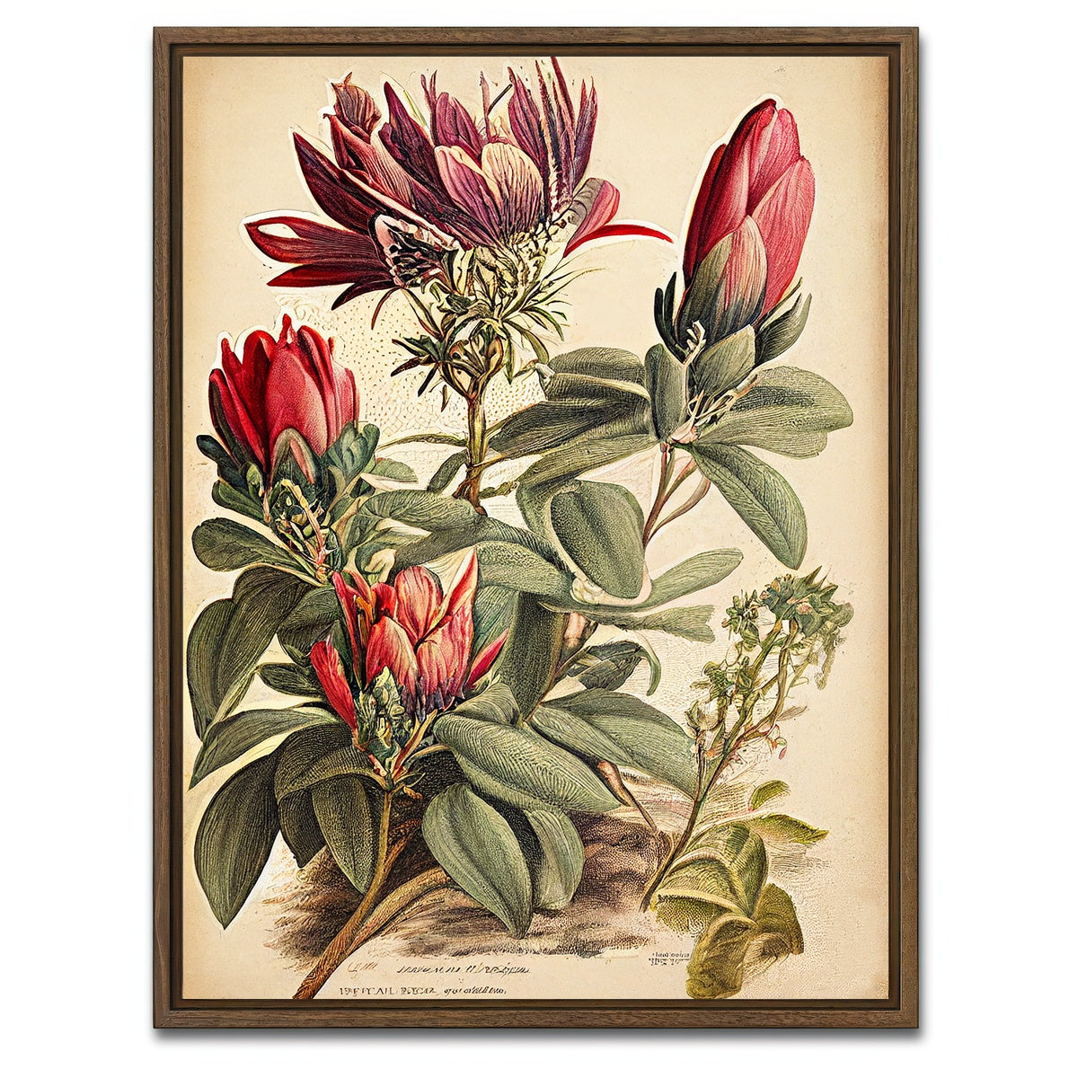 AUTO-MOCKUP WHITE | Vintage Botanical Print Series 10 | 1 Piece | Walnut Framed Canvas | group=3x4