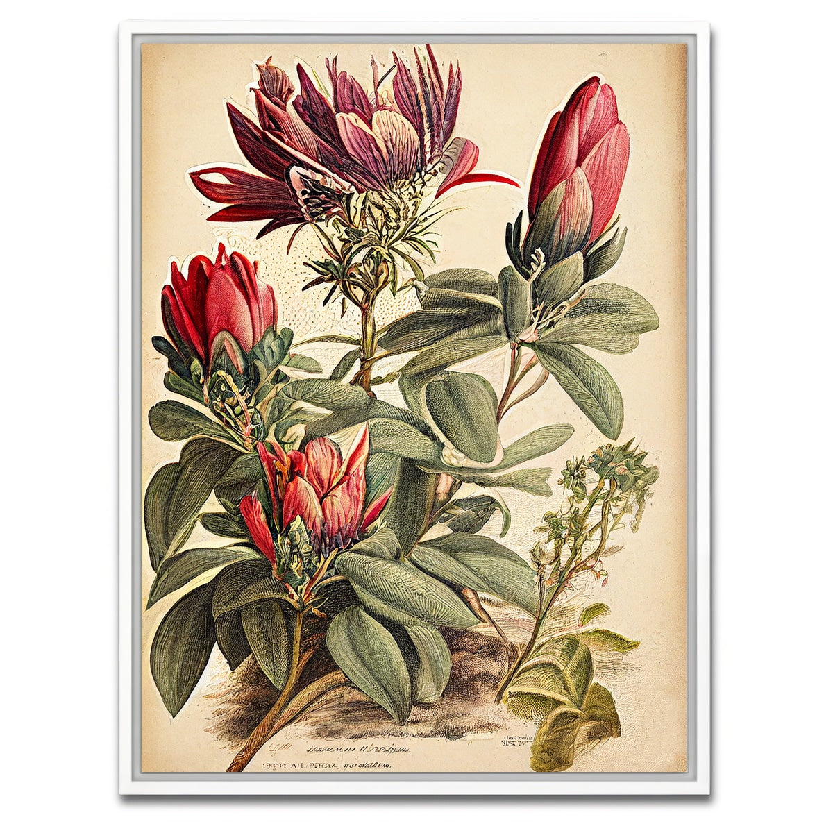 AUTO-MOCKUP WHITE | Vintage Botanical Print Series 10 | 1 Piece | White Framed Canvas | group=3x4
