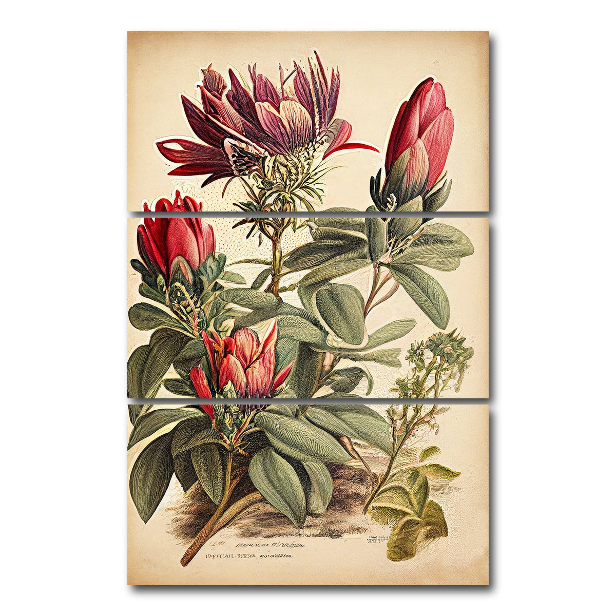 AUTO-MOCKUP WHITE | Vintage Botanical Print Series 10 | 3 Piece | Gallery Wrap Canvas | group=12x24_stacked