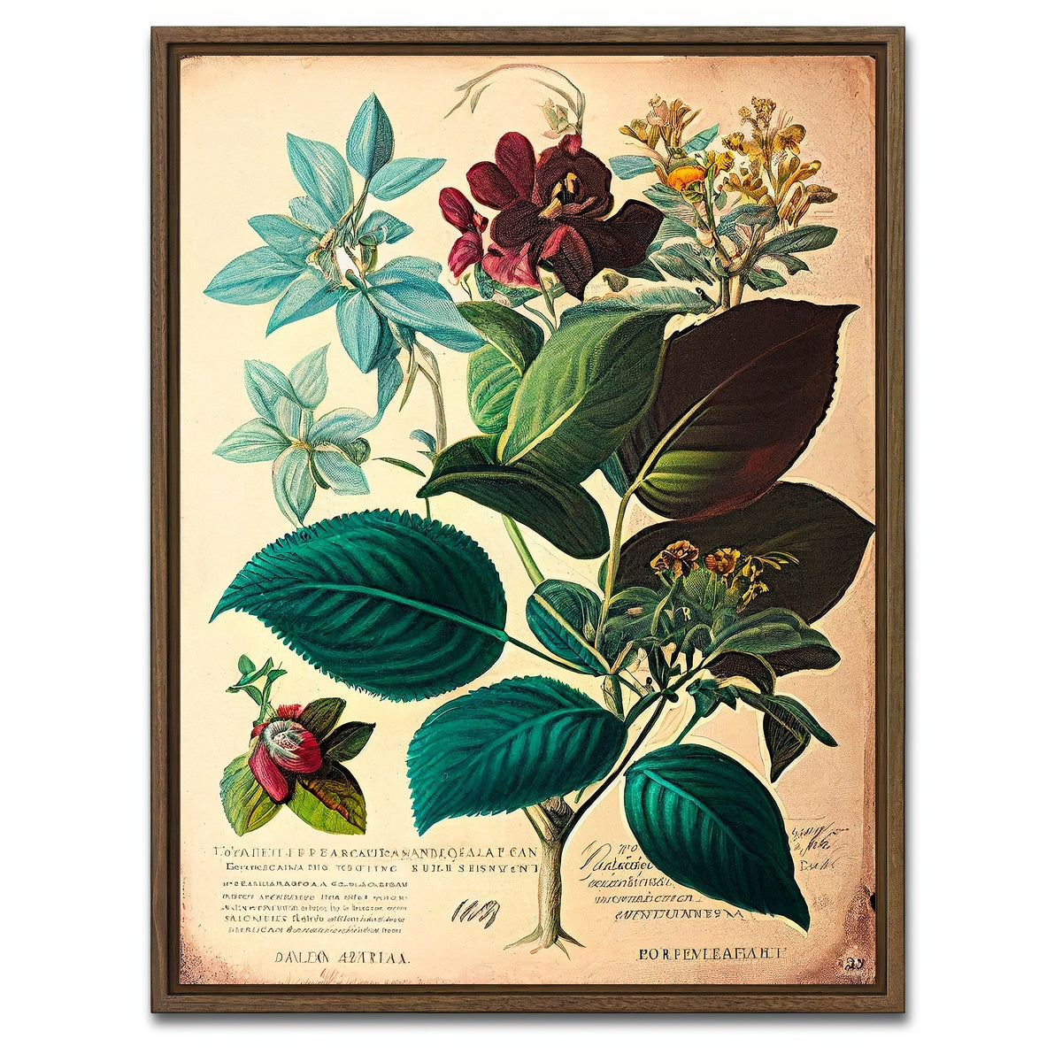 AUTO-MOCKUP WHITE | Vintage Botanical Print Series 1 | 1 Piece | Walnut Framed Canvas | group=3x4