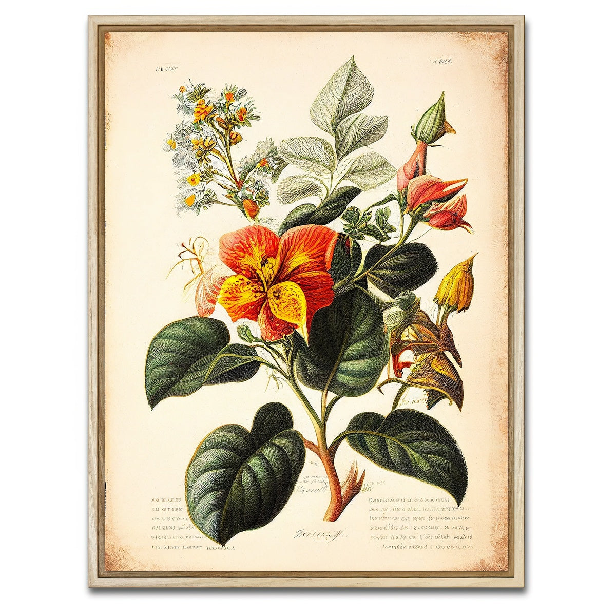 AUTO-MOCKUP WHITE | Vintage Botanical Print Series 2 | 1 Piece | Natural Framed Canvas | group=3x4