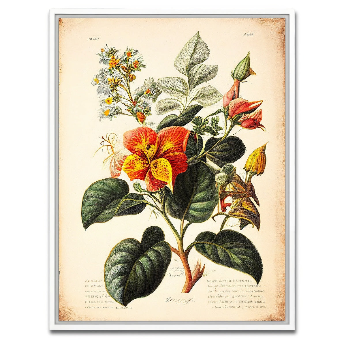 AUTO-MOCKUP WHITE | Vintage Botanical Print Series 2 | 1 Piece | White Framed Canvas | group=3x4