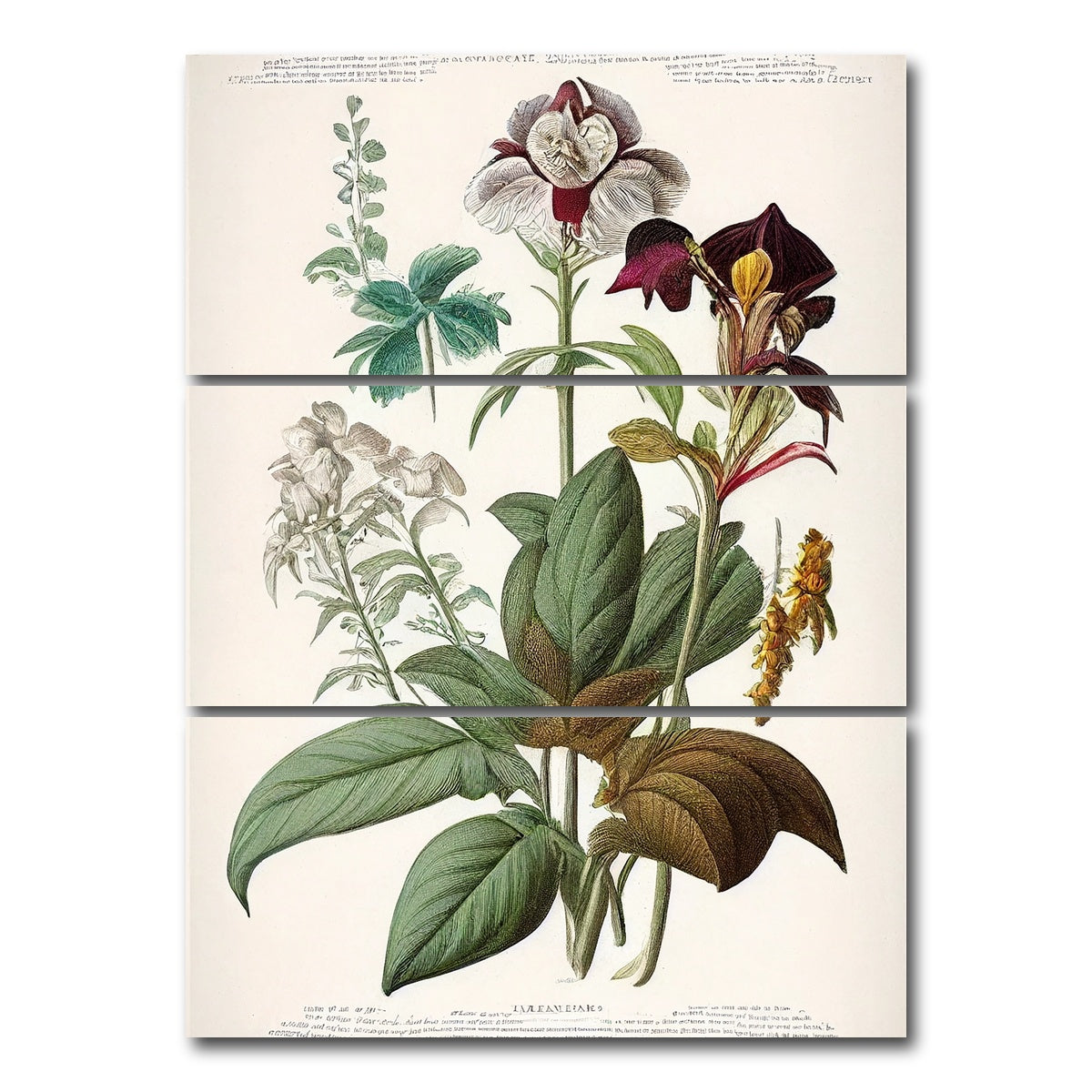 AUTO-MOCKUP WHITE | Vintage Botanical Print Series 3 | 3 Piece | Gallery Wrap Canvas | group=8x18_stacked