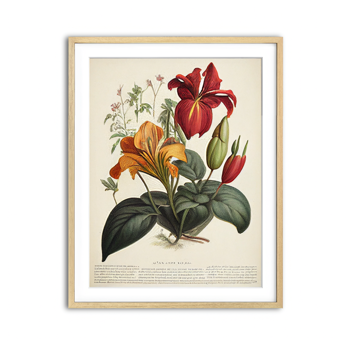 Framed Print 3x4 Natural