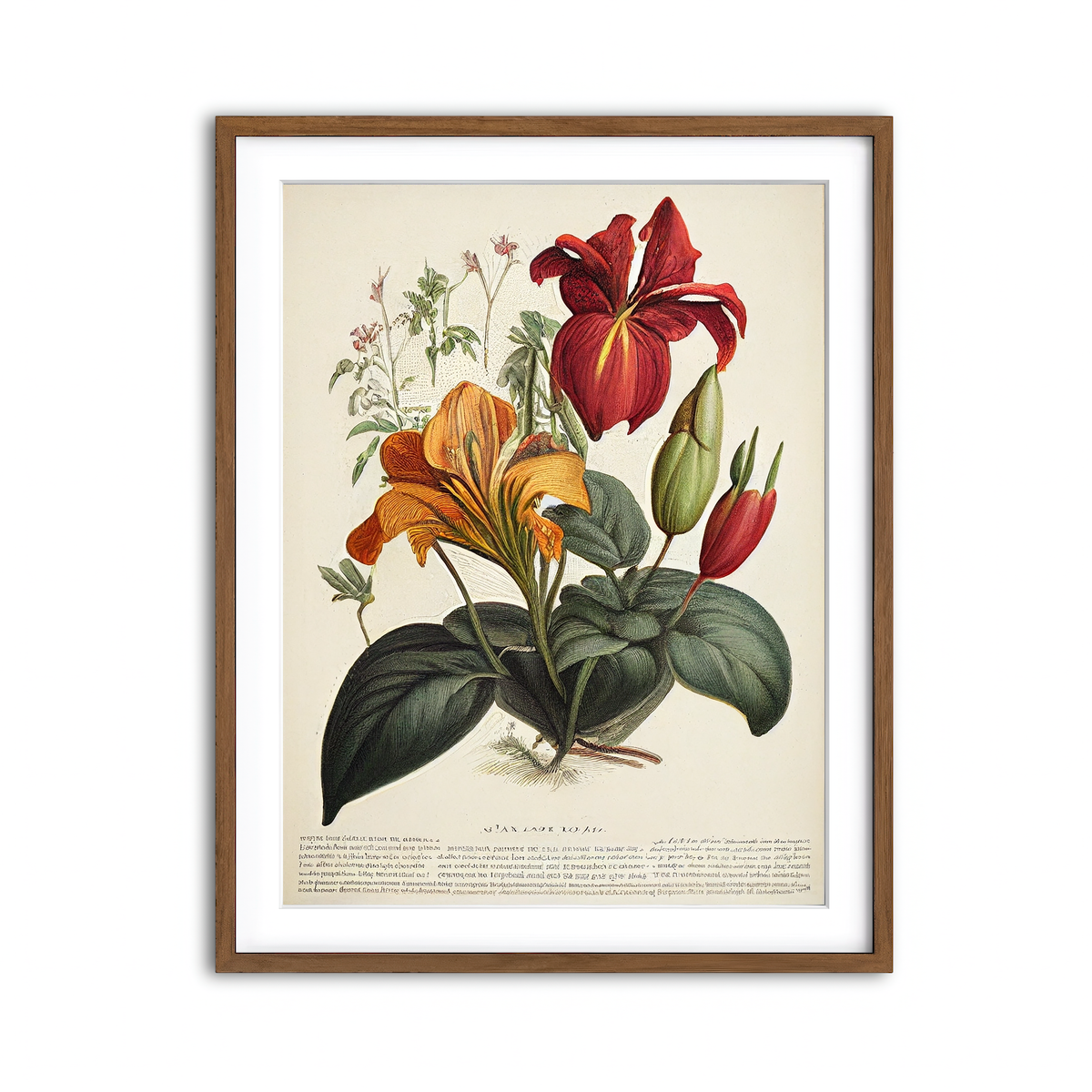 Framed Print 3x4 Walnut