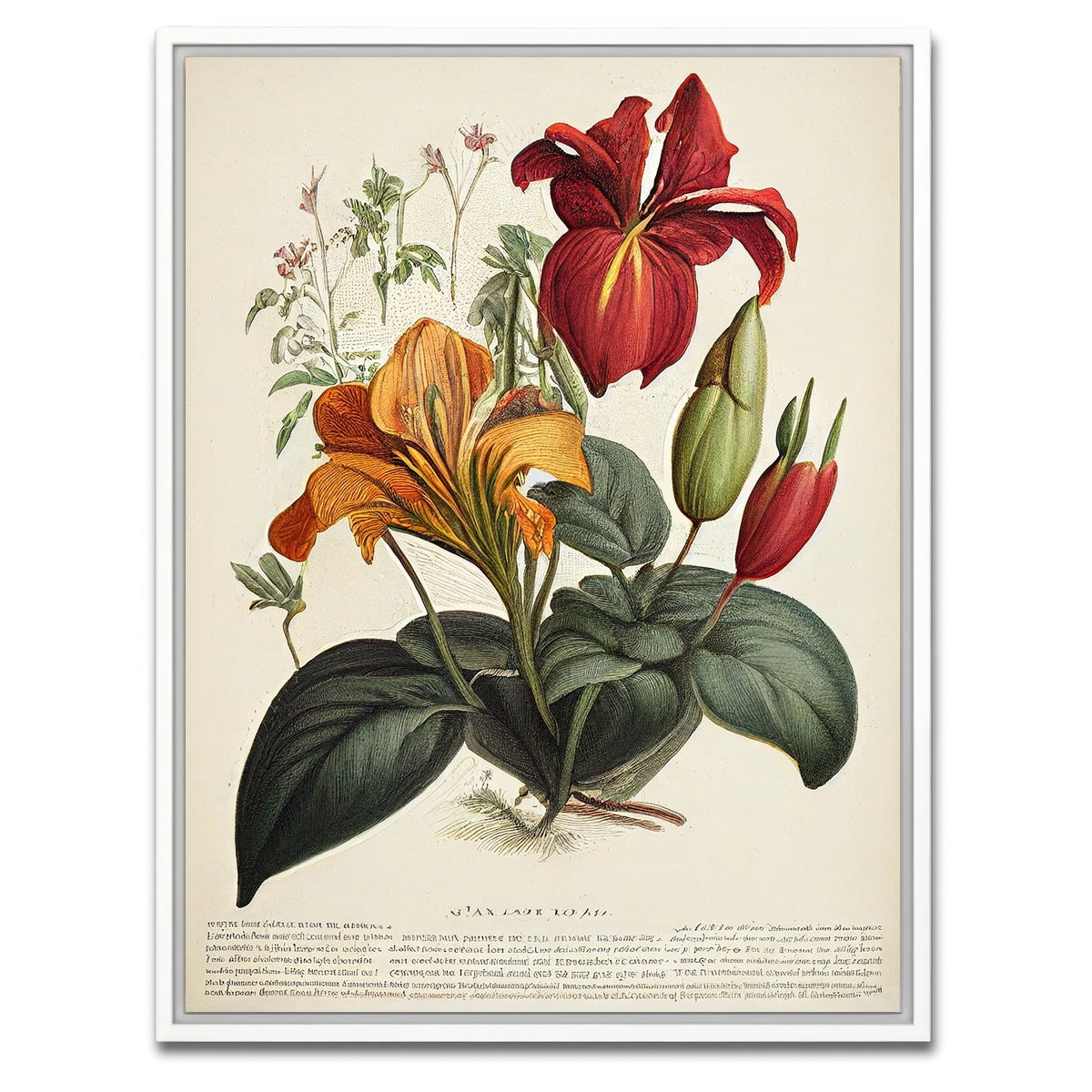 AUTO-MOCKUP WHITE | Vintage Botanical Print Series 4 | 1 Piece | White Framed Canvas | group=3x4