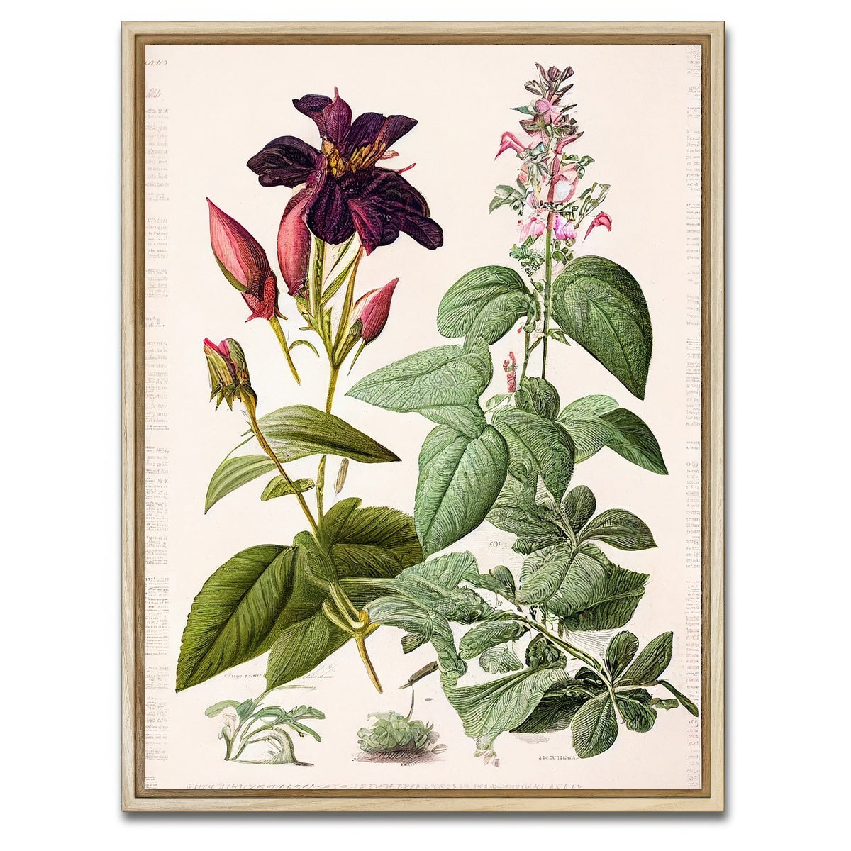 AUTO-MOCKUP WHITE | Vintage Botanical Print Series 5 | 1 Piece | Natural Framed Canvas | group=3x4