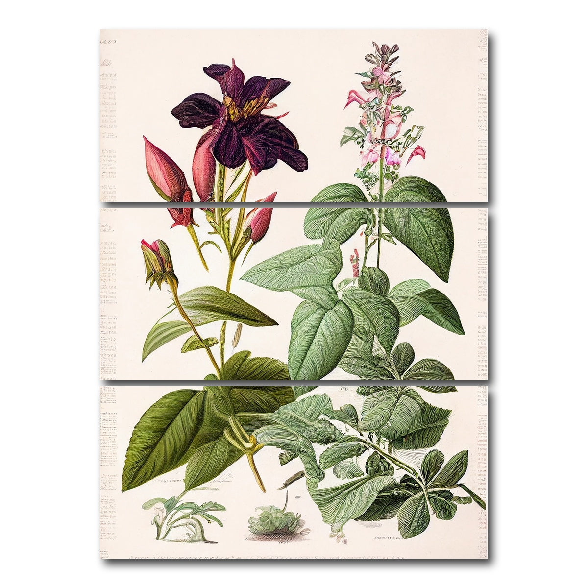 AUTO-MOCKUP WHITE | Vintage Botanical Print Series 5 | 3 Piece | Gallery Wrap Canvas | group=8x18_stacked