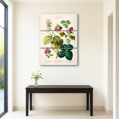 AUTO-MOCKUP ROOM | Vintage Botanical Print Series 6