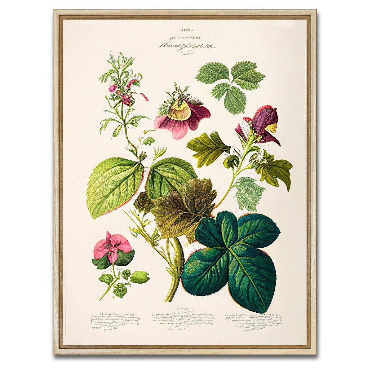 AUTO-MOCKUP WHITE | Vintage Botanical Print Series 6 | 1 Piece | Natural Framed Canvas | group=3x4