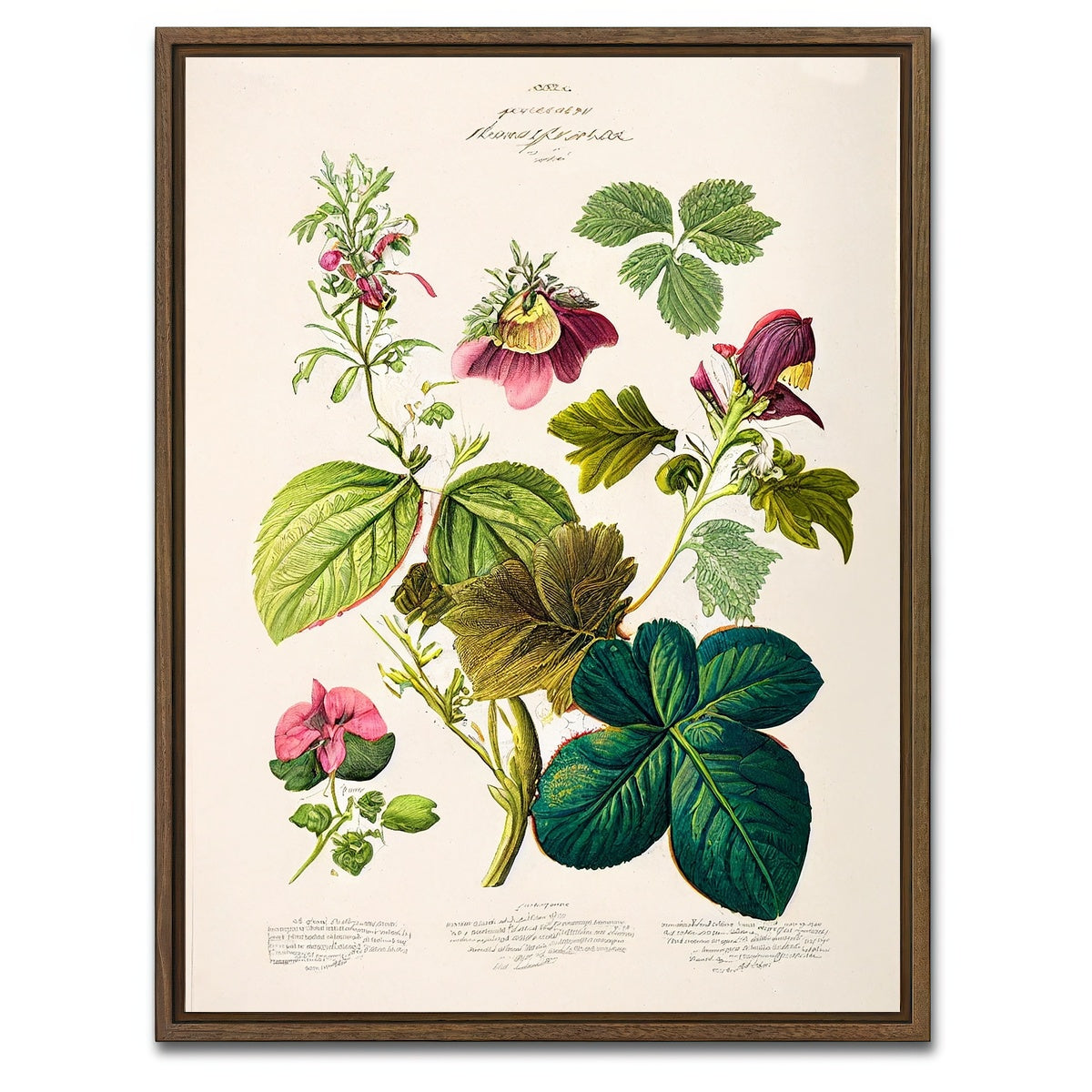 AUTO-MOCKUP WHITE | Vintage Botanical Print Series 6 | 1 Piece | Walnut Framed Canvas | group=3x4