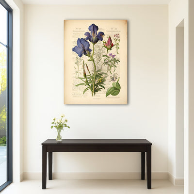 AUTO-MOCKUP ROOM | Vintage Botanical Print Series 7