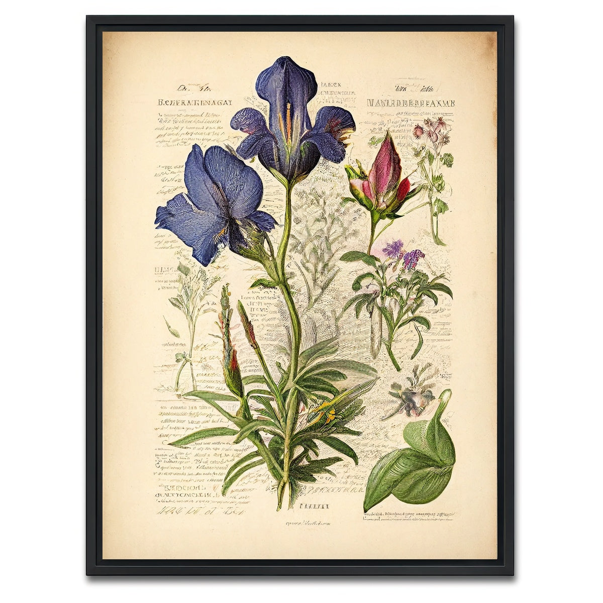 AUTO-MOCKUP WHITE | Vintage Botanical Print Series 7 | 1 Piece | Black Framed Canvas | group=3x4