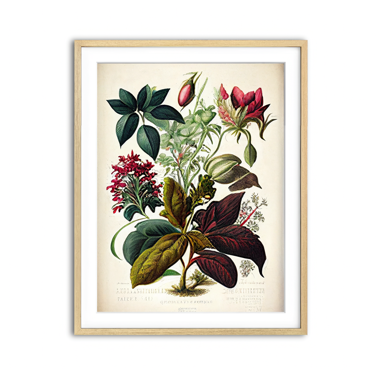 Framed Print 3x4 Natural