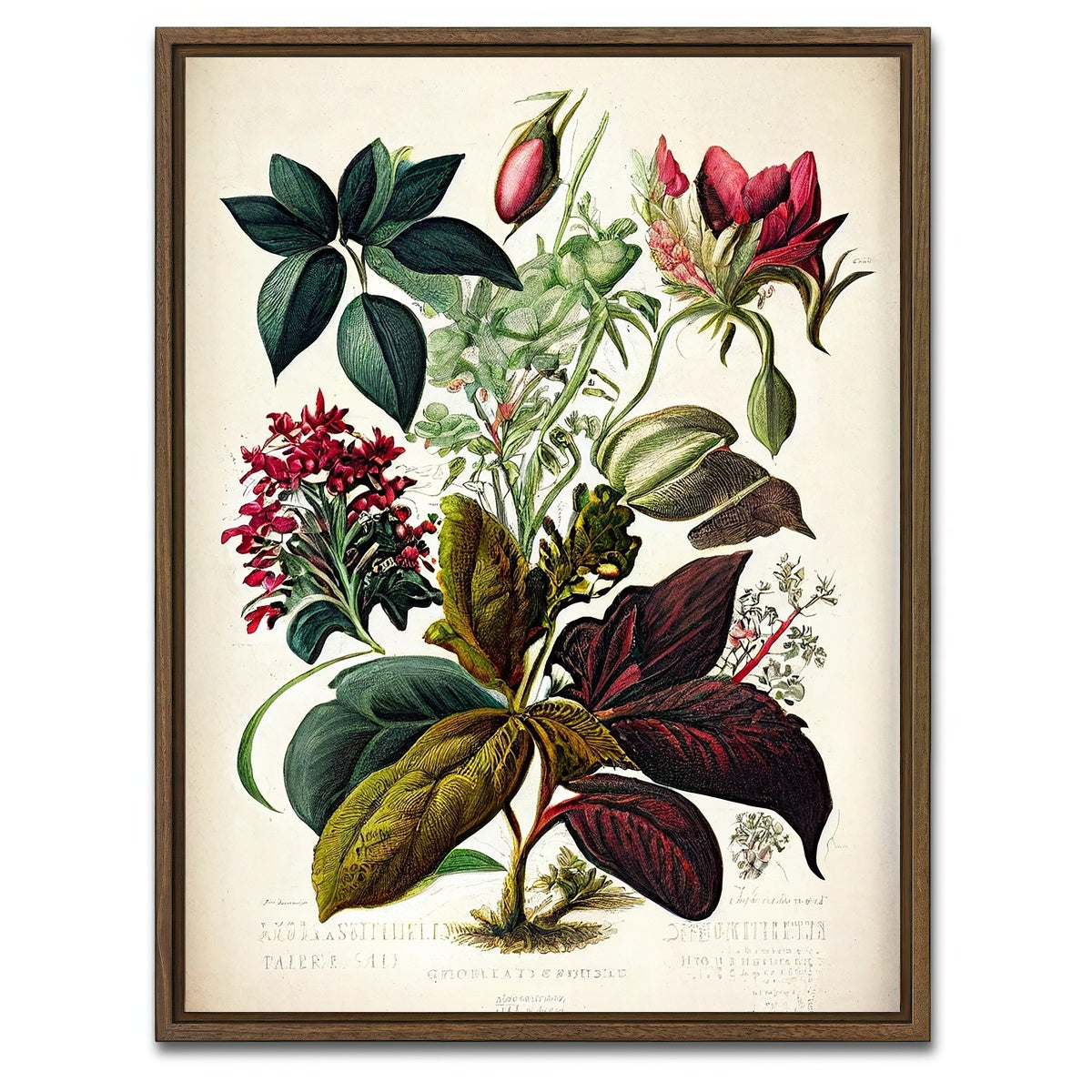 AUTO-MOCKUP WHITE | Vintage Botanical Print Series 8 | 1 Piece | Walnut Framed Canvas | group=3x4