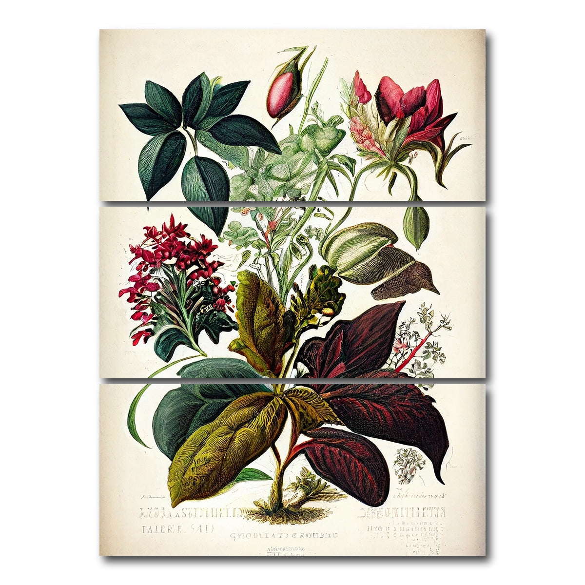 AUTO-MOCKUP WHITE | Vintage Botanical Print Series 8 | 3 Piece | Gallery Wrap Canvas | group=8x18_stacked