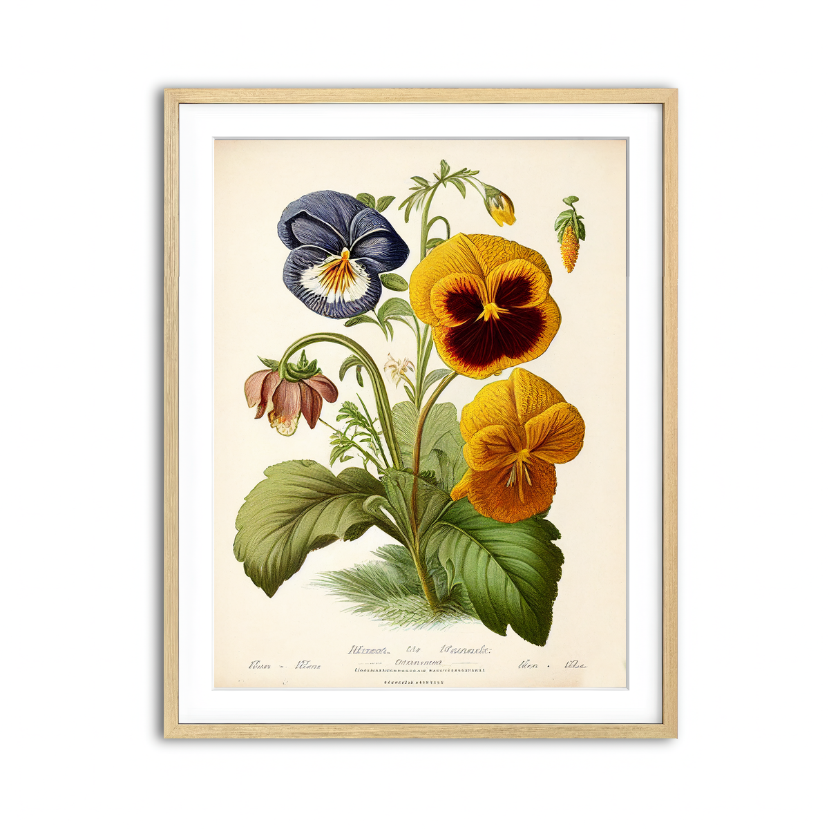Framed Print 3x4 Natural