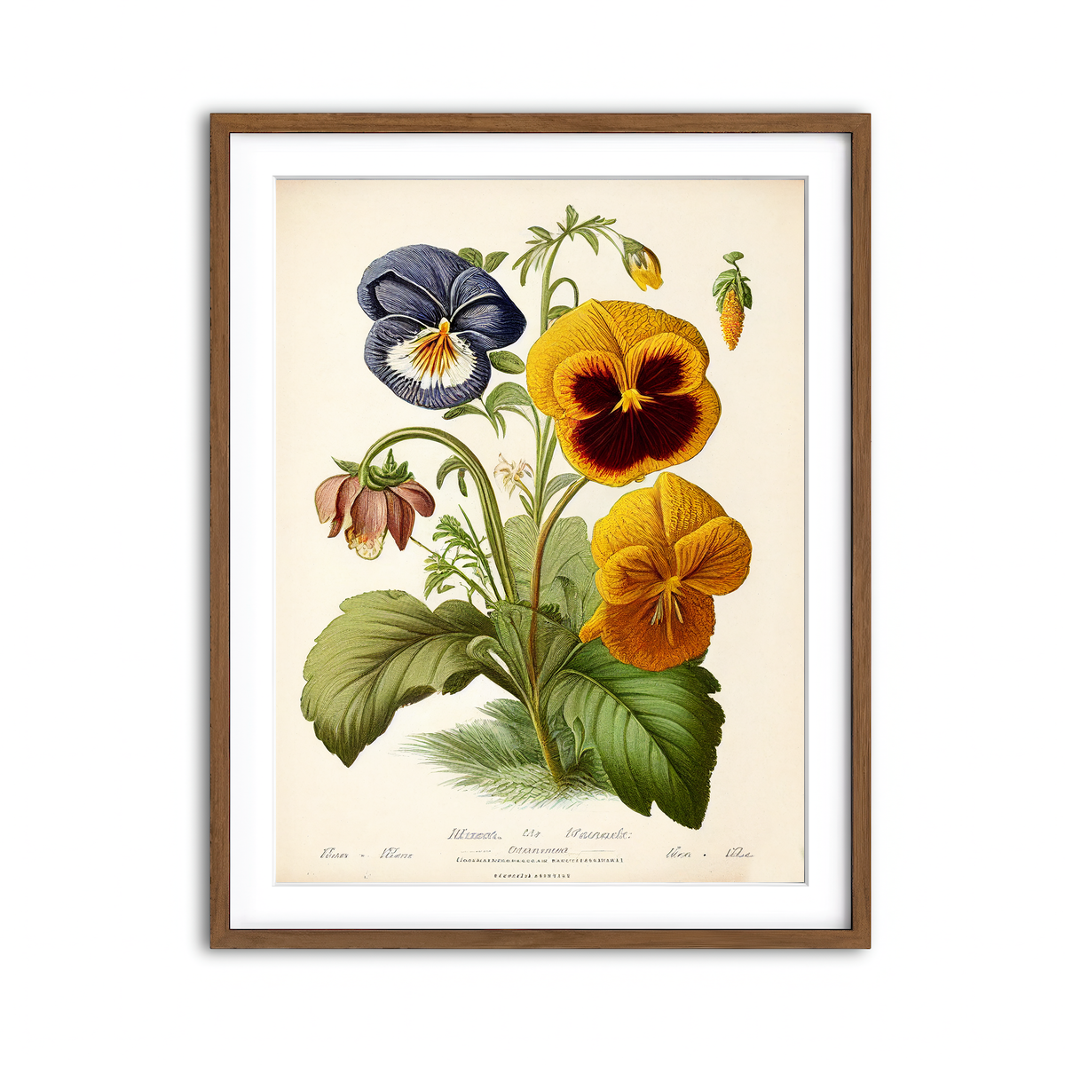 Framed Print 3x4 Walnut