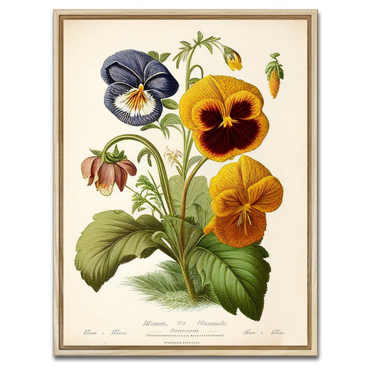 AUTO-MOCKUP WHITE | Vintage Botanical Print Series 9 | 1 Piece | Natural Framed Canvas | group=3x4