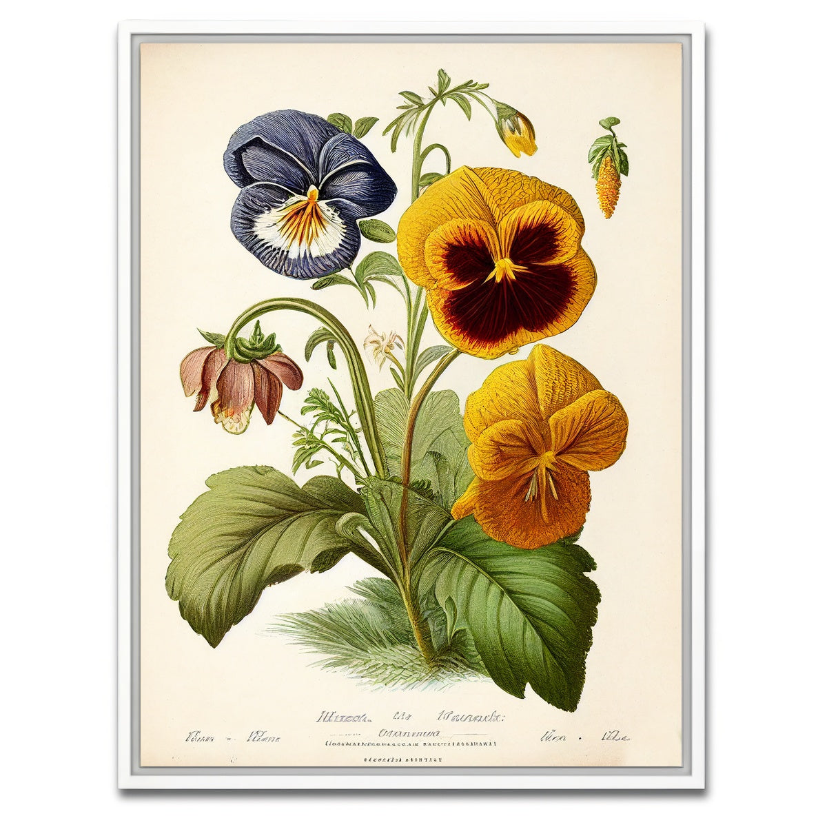AUTO-MOCKUP WHITE | Vintage Botanical Print Series 9 | 1 Piece | White Framed Canvas | group=3x4