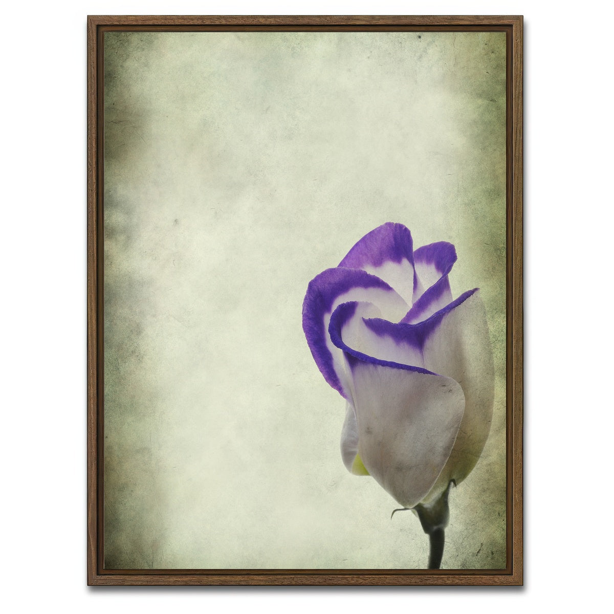 AUTO-MOCKUP WHITE | Vintage Lisianthus | 1 Piece | Walnut Framed Canvas | group=3x4