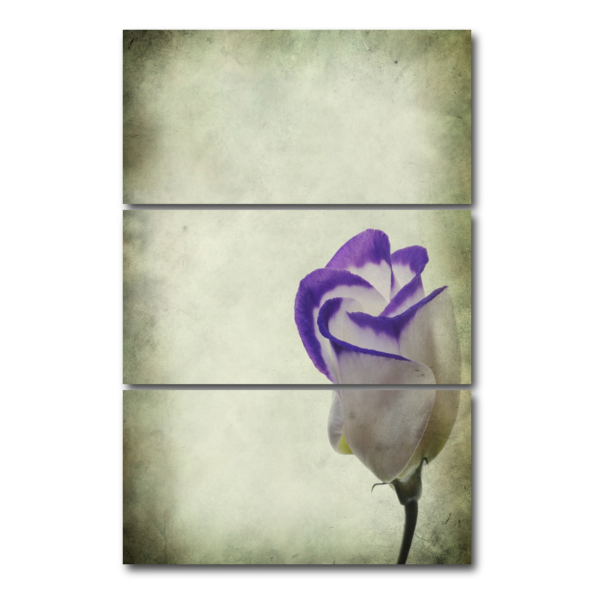 AUTO-MOCKUP WHITE | Vintage Lisianthus | 3 Piece | Gallery Wrap Canvas | group=12x24_stacked