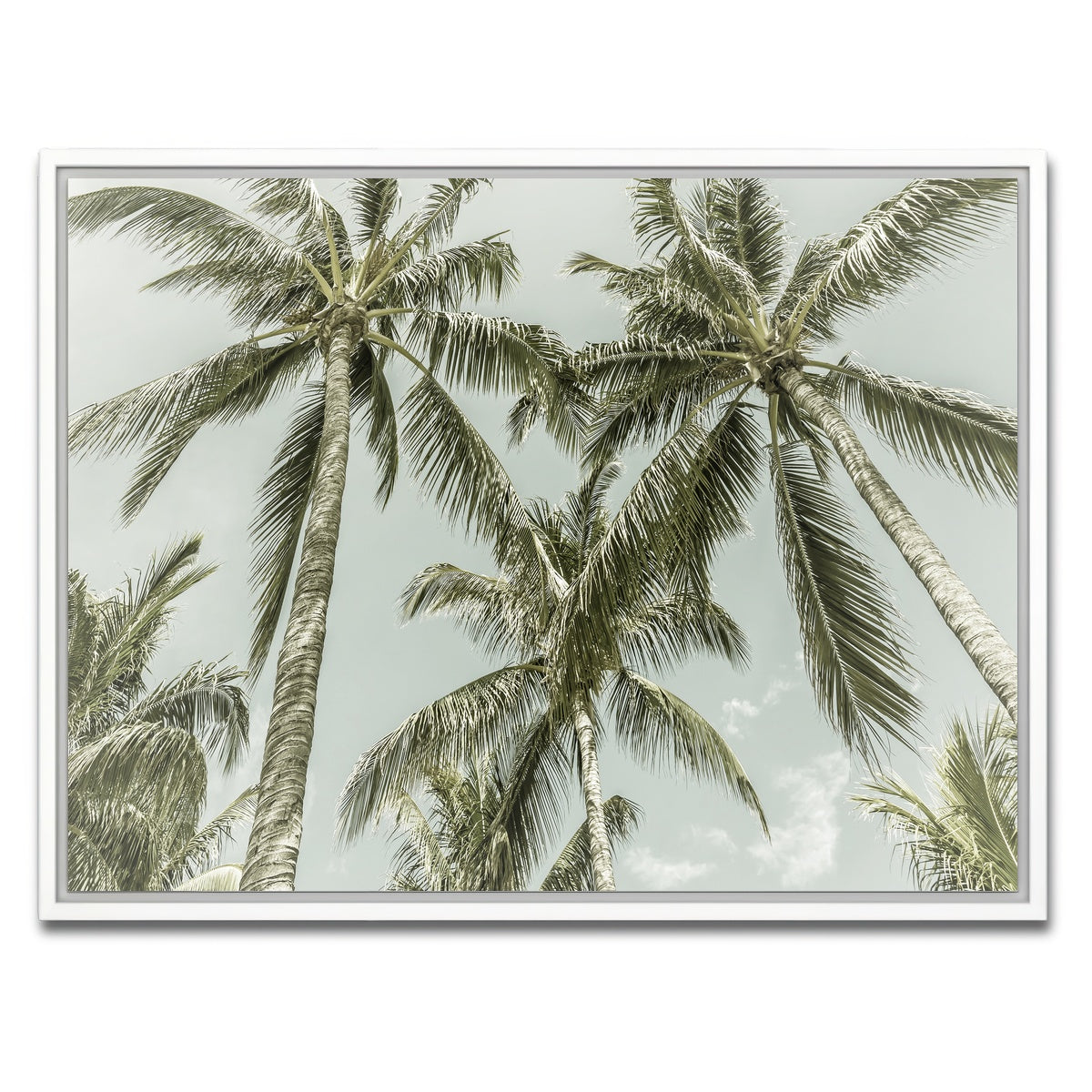 AUTO-MOCKUP WHITE | Vintage Palm Trees | 1 Piece | White Framed Canvas | group=4x3