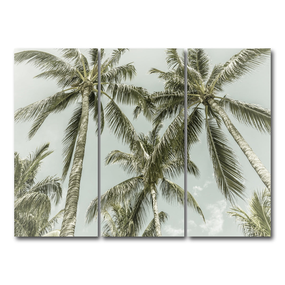 AUTO-MOCKUP WHITE | Vintage Palm Trees | 3 Piece | Gallery Wrap Canvas | group=8x18