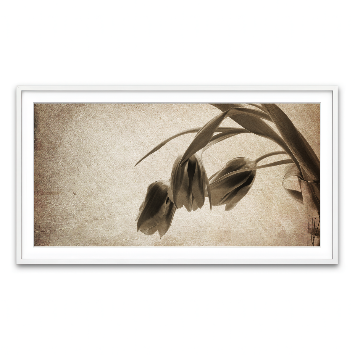 Framed Print 2x1 White