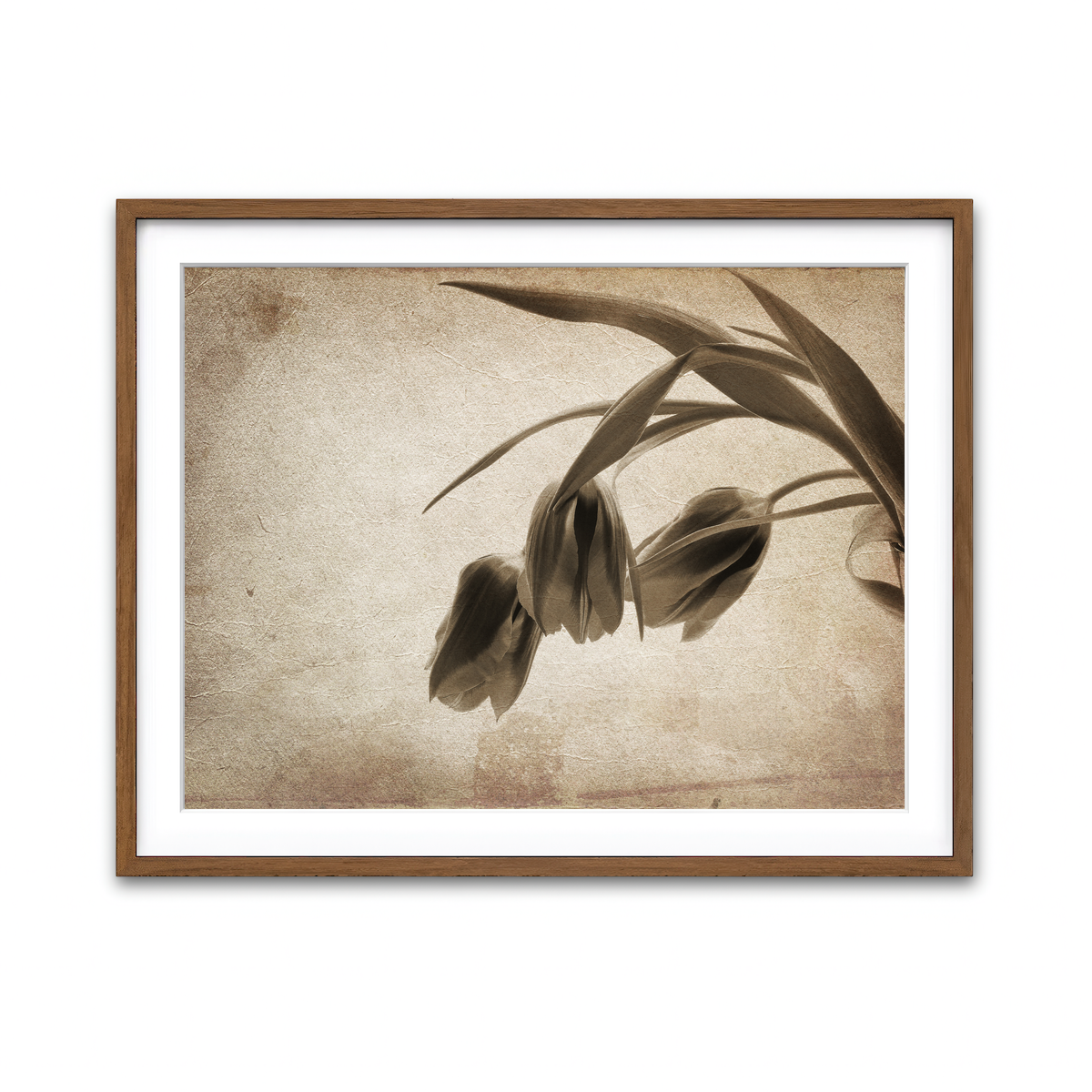 Framed Print 4x3 Walnut