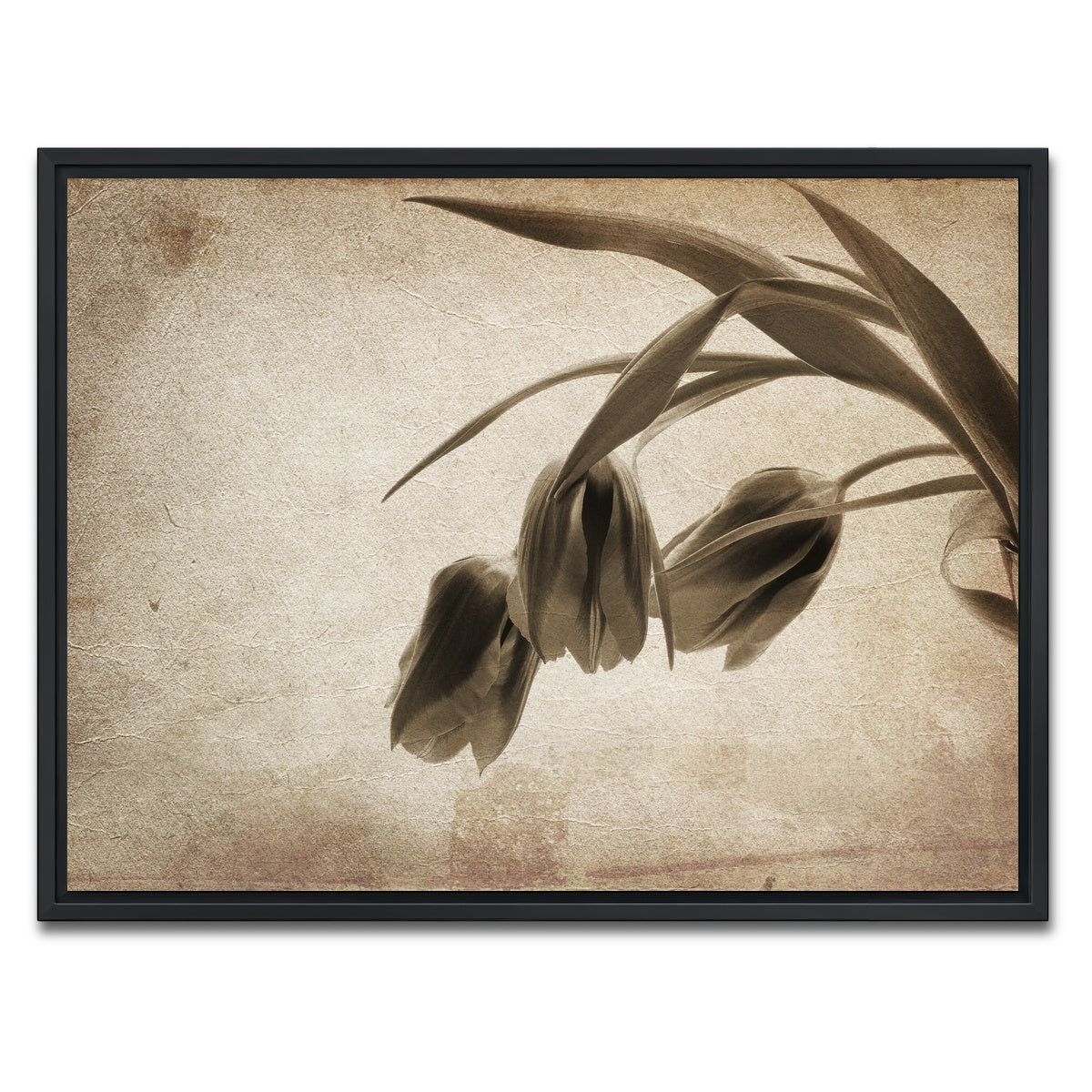 AUTO-MOCKUP WHITE | Vintage flowers | 1 Piece | Black Framed Canvas | group=4x3