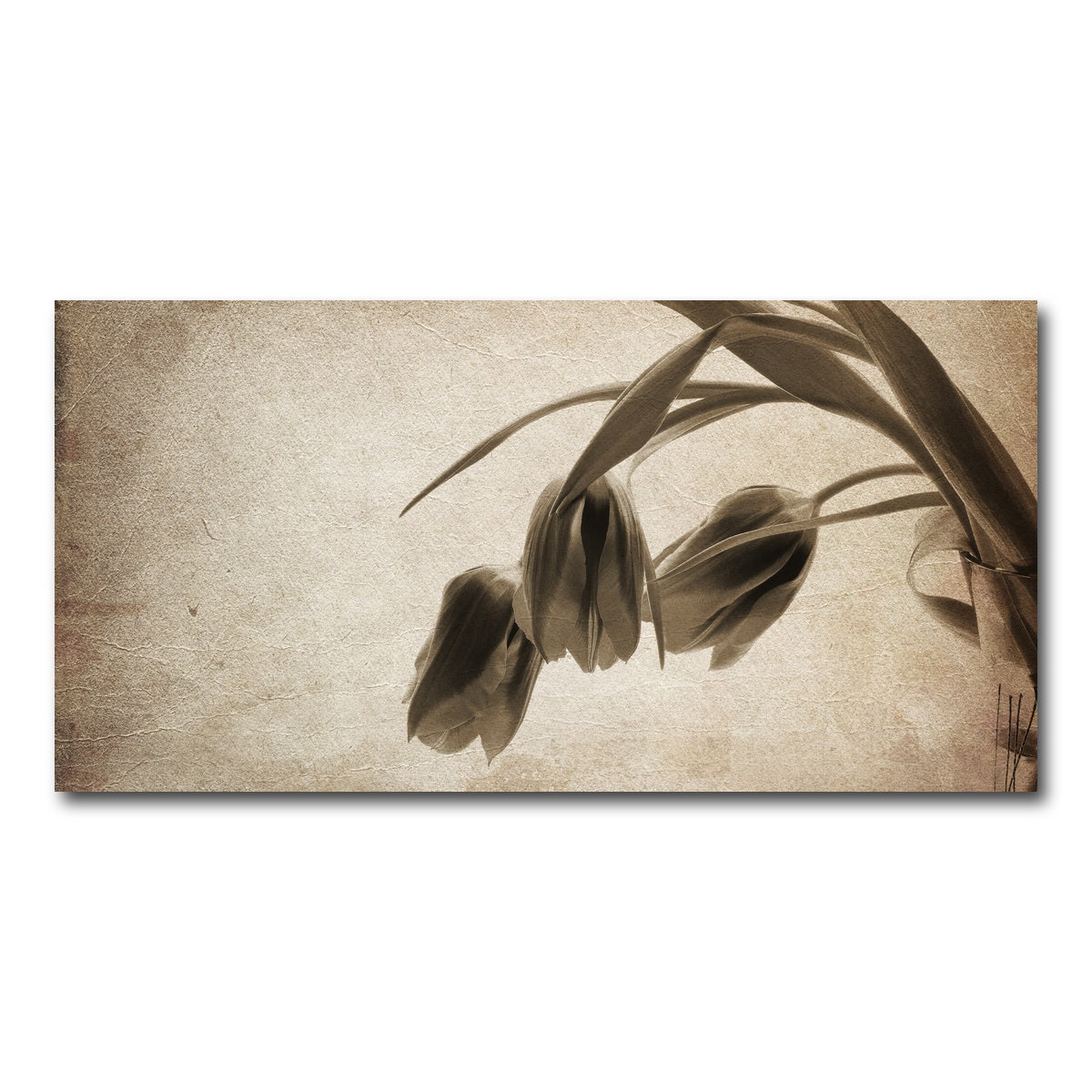 AUTO-MOCKUP WHITE | Vintage flowers | 1 Piece | Gallery Wrap Canvas | group=2x1