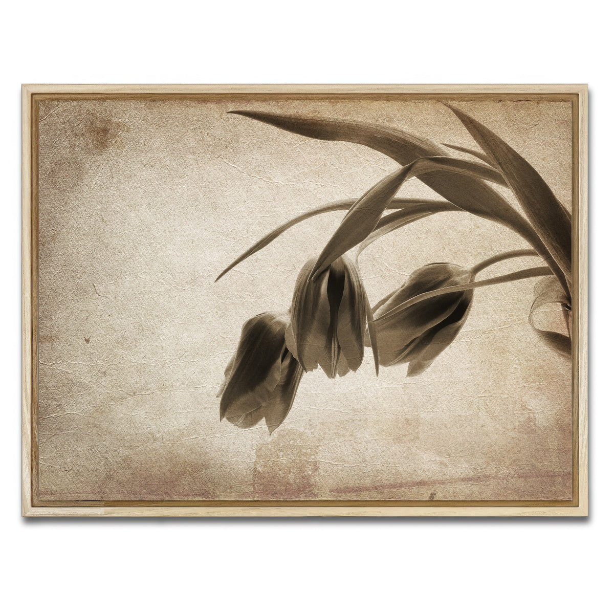AUTO-MOCKUP WHITE | Vintage flowers | 1 Piece | Natural Framed Canvas | group=4x3