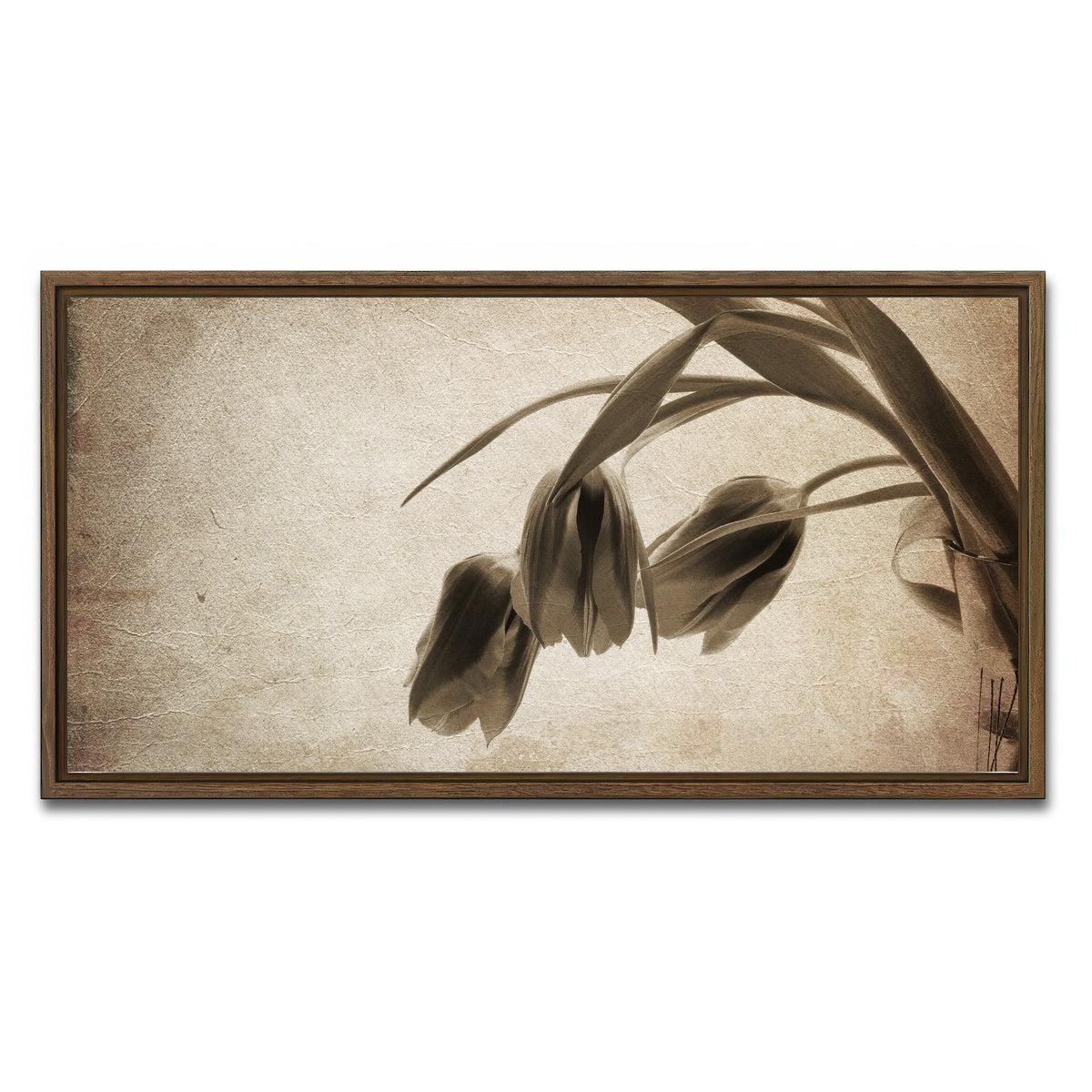 AUTO-MOCKUP WHITE | Vintage flowers | 1 Piece | Walnut Framed Canvas | group=2x1