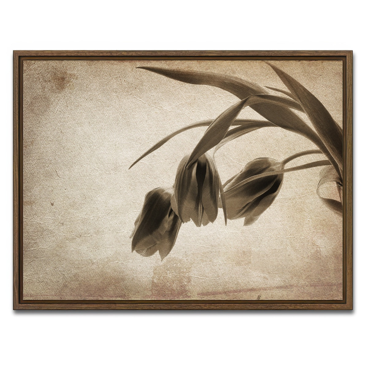AUTO-MOCKUP WHITE | Vintage flowers | 1 Piece | Walnut Framed Canvas | group=4x3