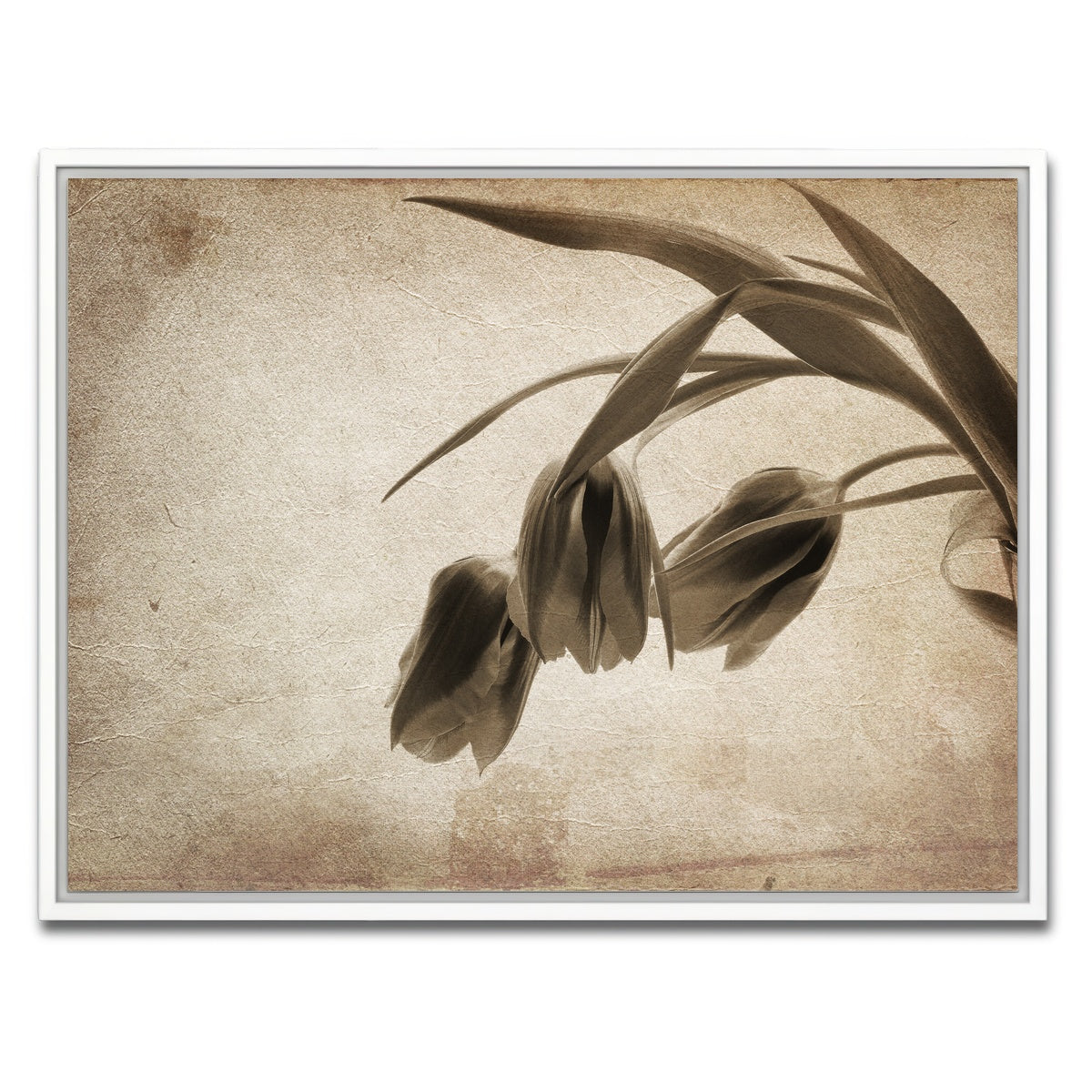 AUTO-MOCKUP WHITE | Vintage flowers | 1 Piece | White Framed Canvas | group=4x3