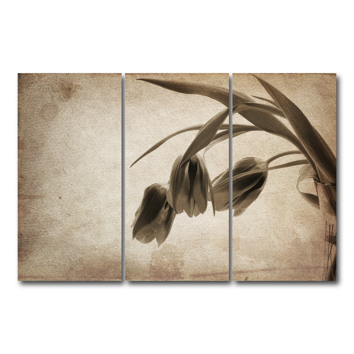 AUTO-MOCKUP WHITE | Vintage flowers | 3 Piece | Gallery Wrap Canvas | group=12x24