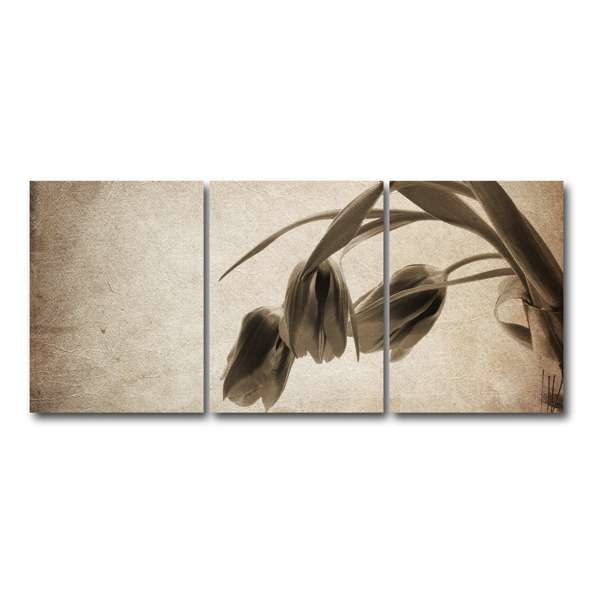 AUTO-MOCKUP WHITE | Vintage flowers | 3 Piece | Gallery Wrap Canvas | group=18x24