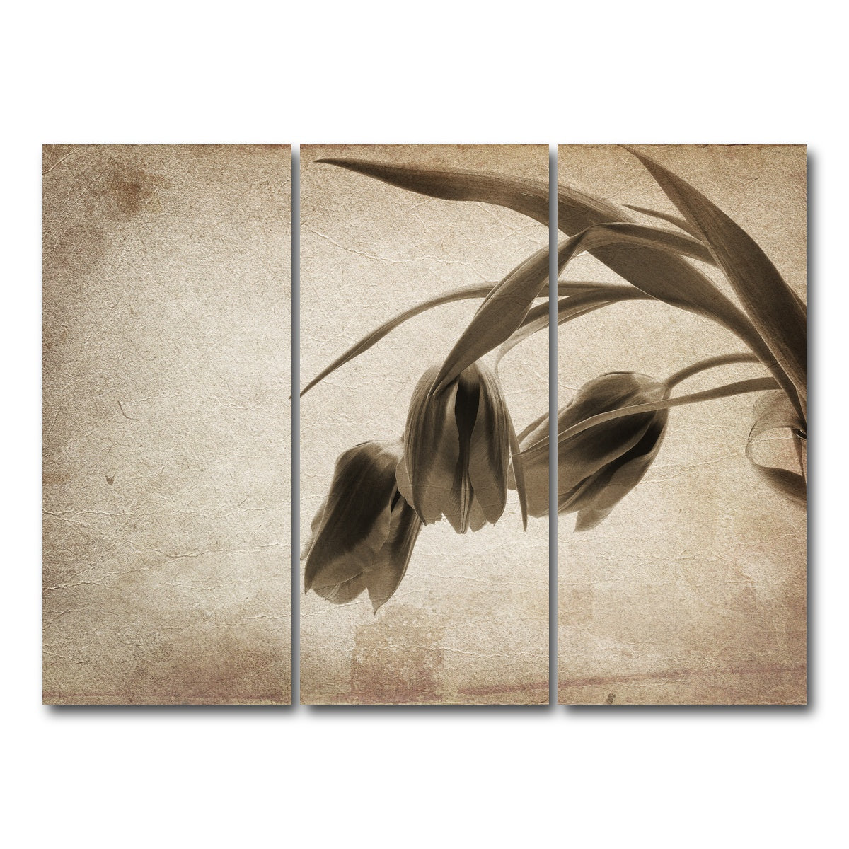 AUTO-MOCKUP WHITE | Vintage flowers | 3 Piece | Gallery Wrap Canvas | group=8x18