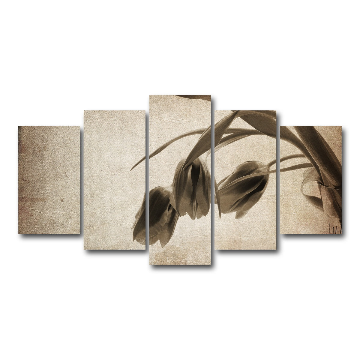 AUTO-MOCKUP WHITE | Vintage flowers | 5 Piece | Gallery Wrap Canvas | group=5_normal