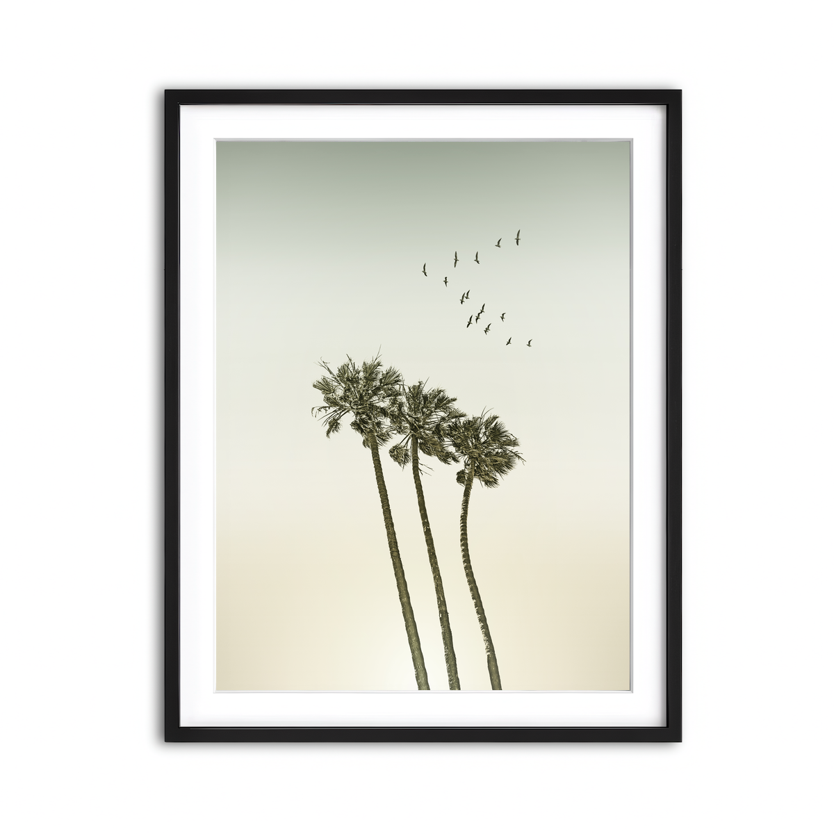Framed Print 3x4 Black
