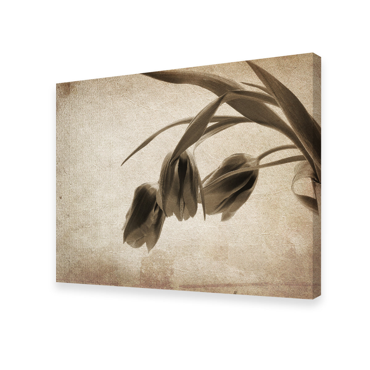 Vintage Flowers Wall Art