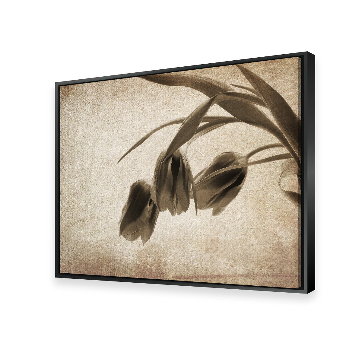 Vintage Flowers Wall Art