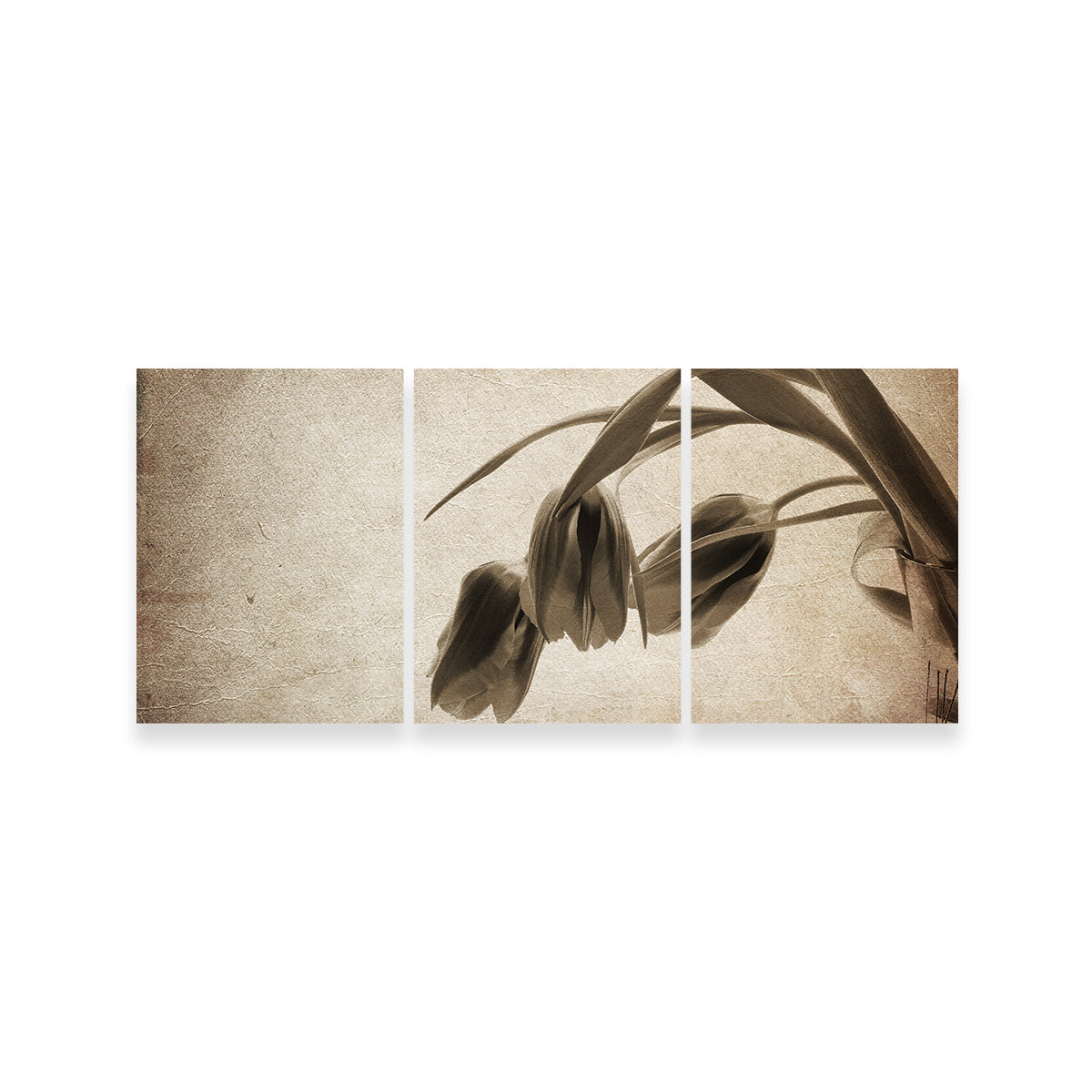 Vintage Flowers Wall Art